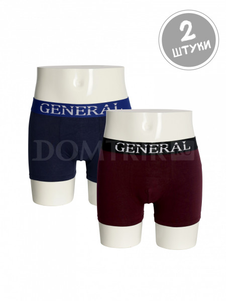 Мужские трусы GENERAL 5538 упаковка 2 шт Мужские трусы GENERAL 5538 упаковка 2 шт